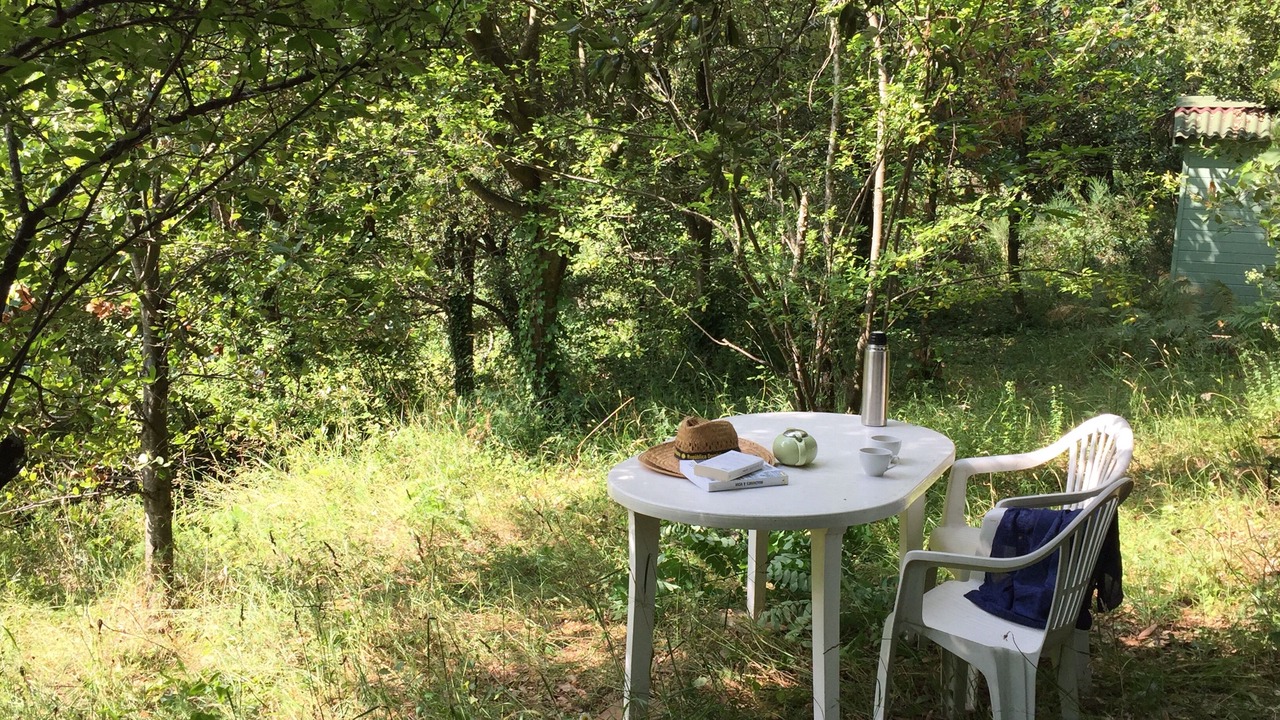 Photo of Outdoor in Ribes