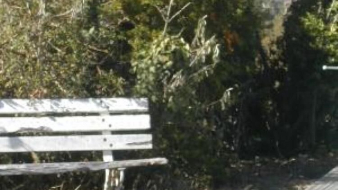 Photo of Outdoor in Monflanquin