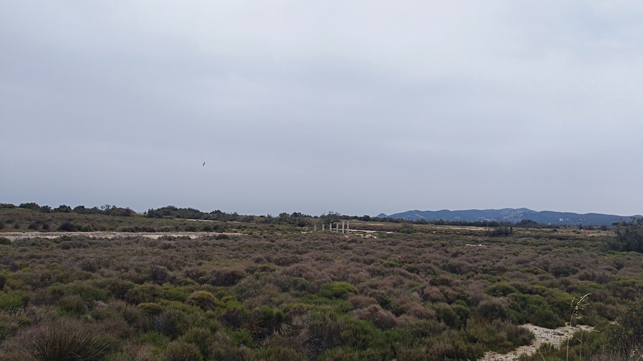 Photo of Others in Torroella de Montgri