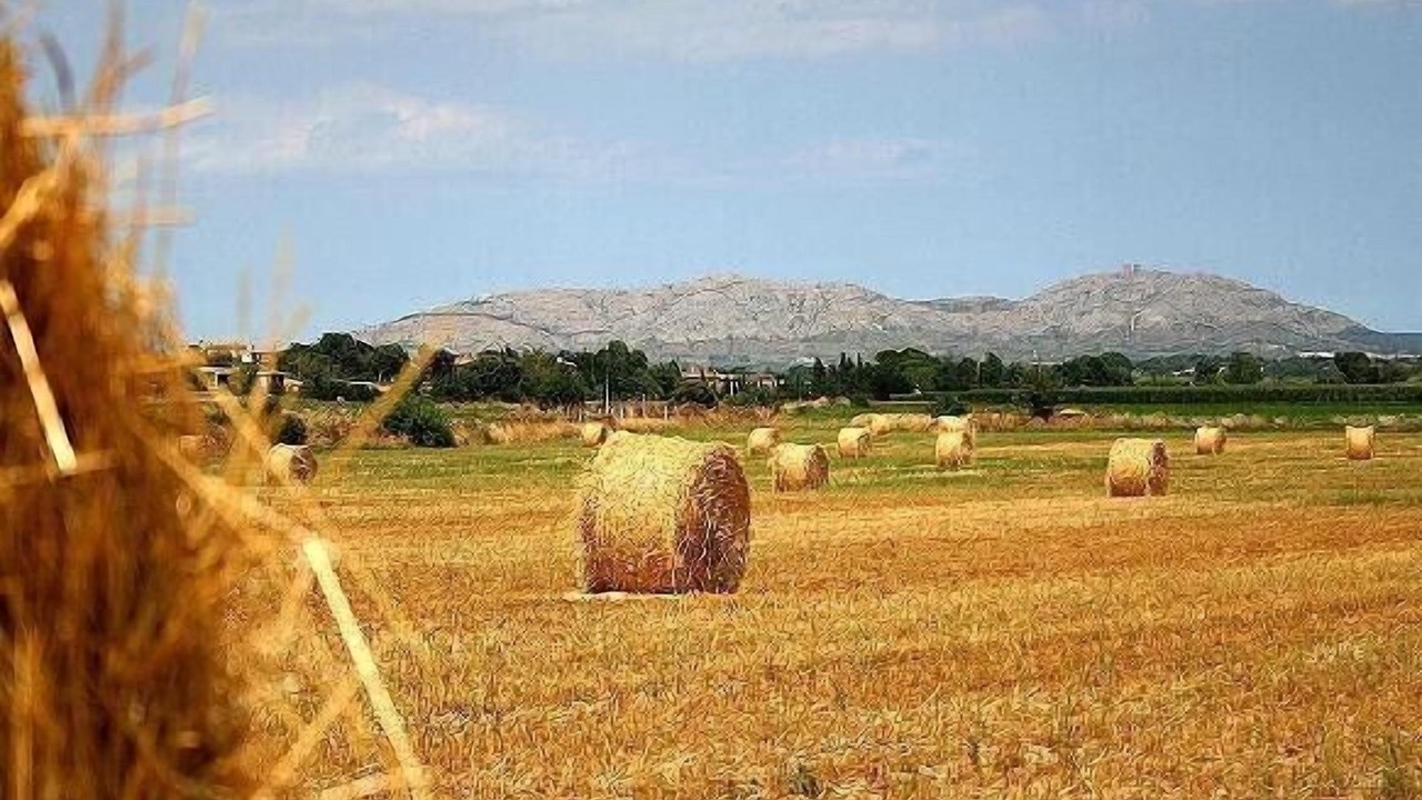 Photo of Outdoor in Torroella de Montgri