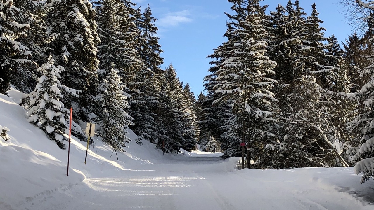 Photo of Others in Crans-Montana