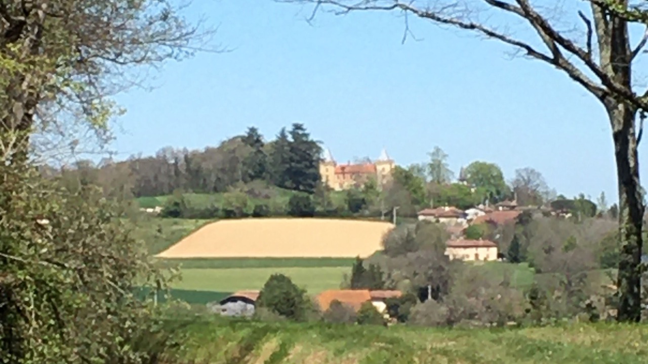 Photo of Others in Monlaur-Bernet