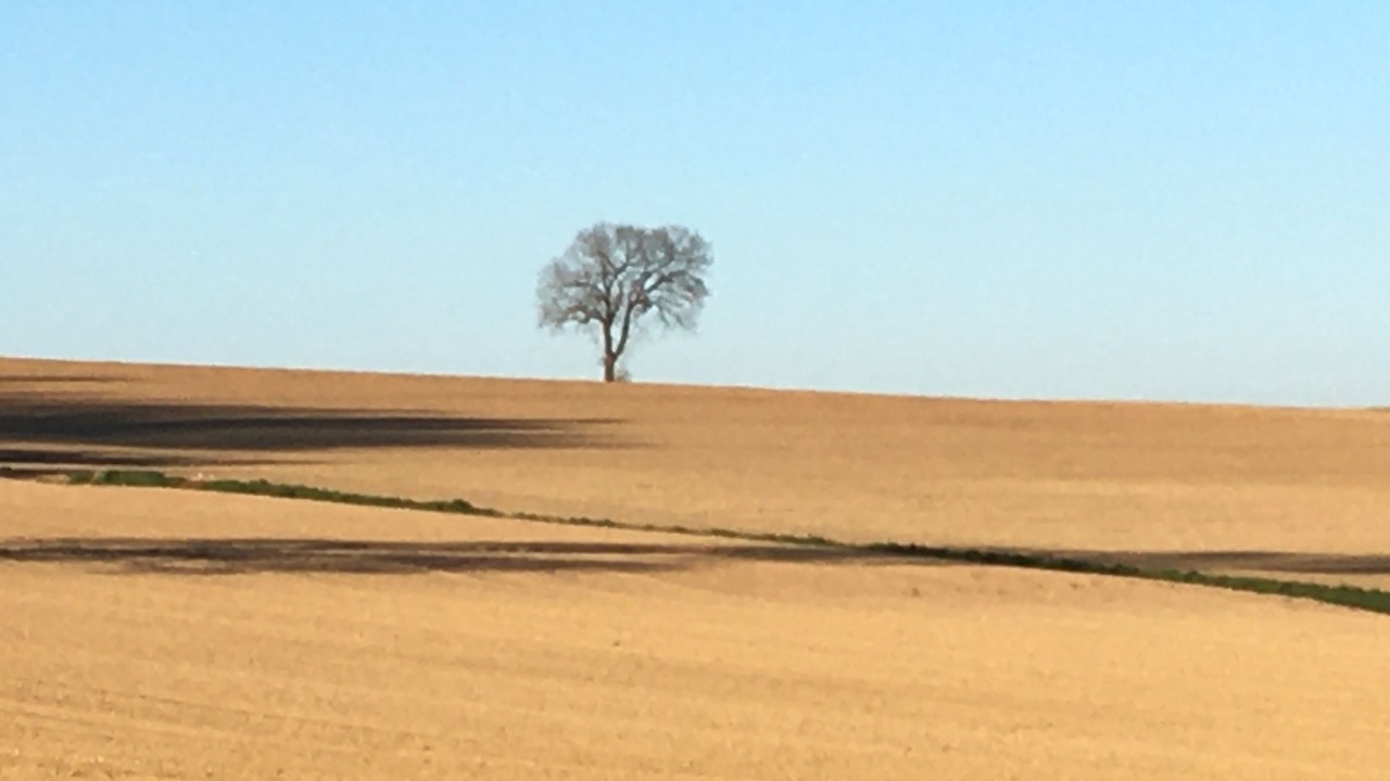 Photo of Others in Monlaur-Bernet