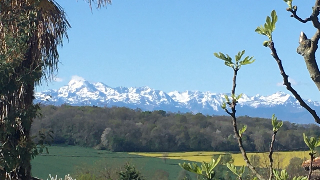 Photo of Others in Monlaur-Bernet