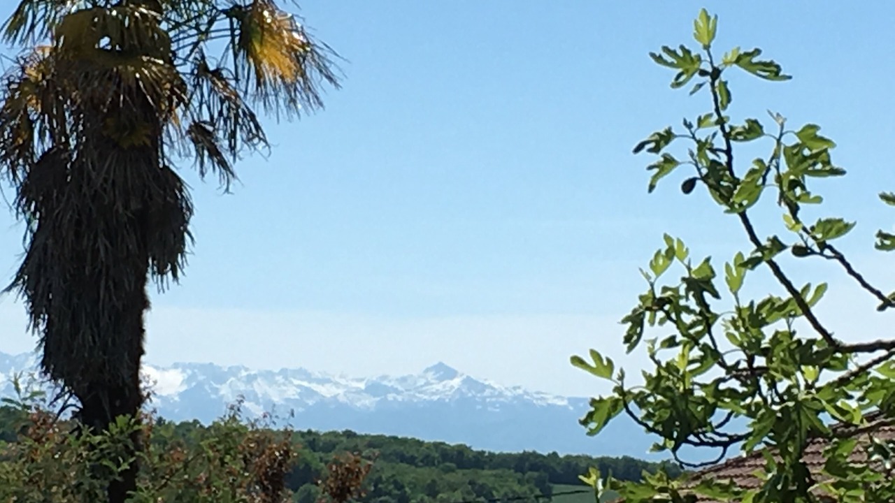 Photo of Others in Monlaur-Bernet