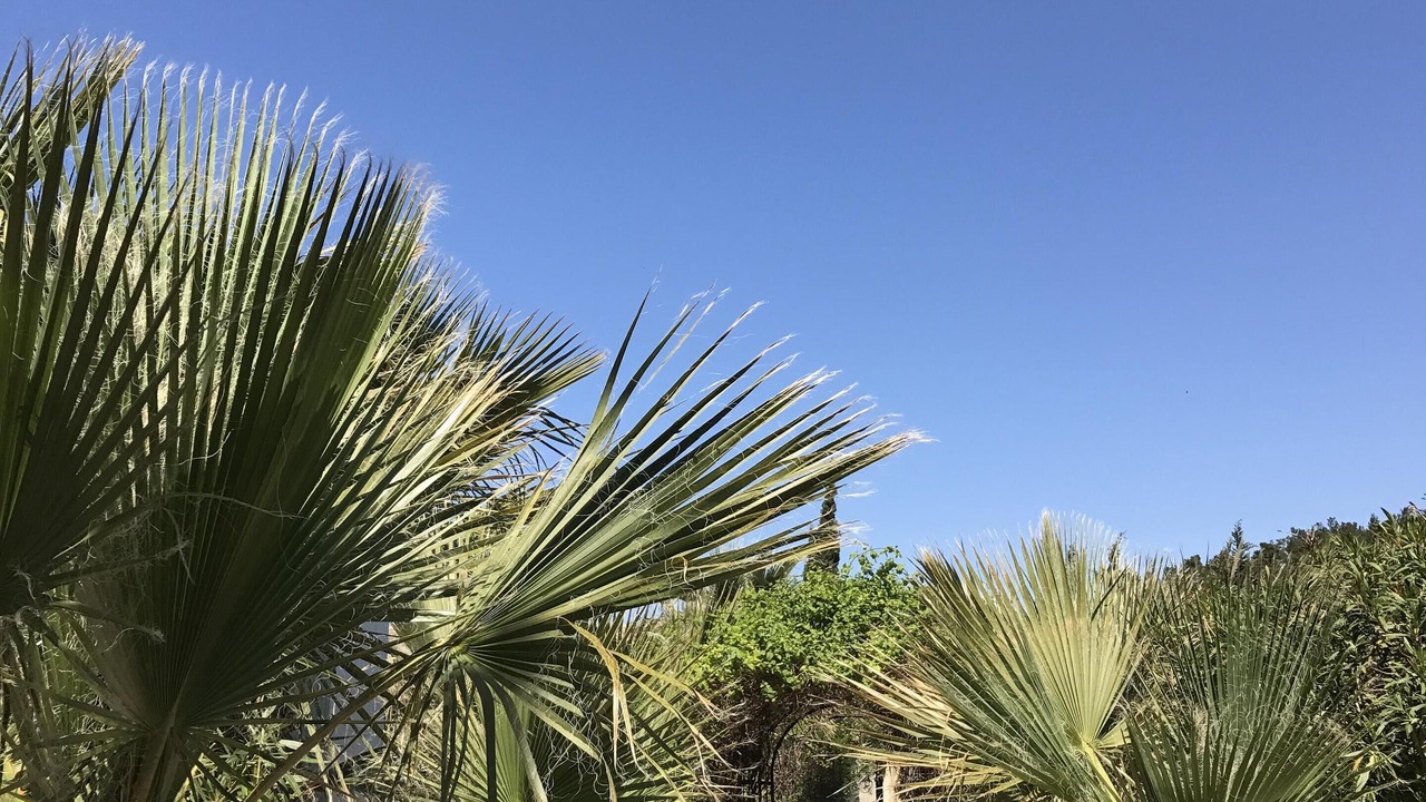 Photo of Outdoor in Montseret