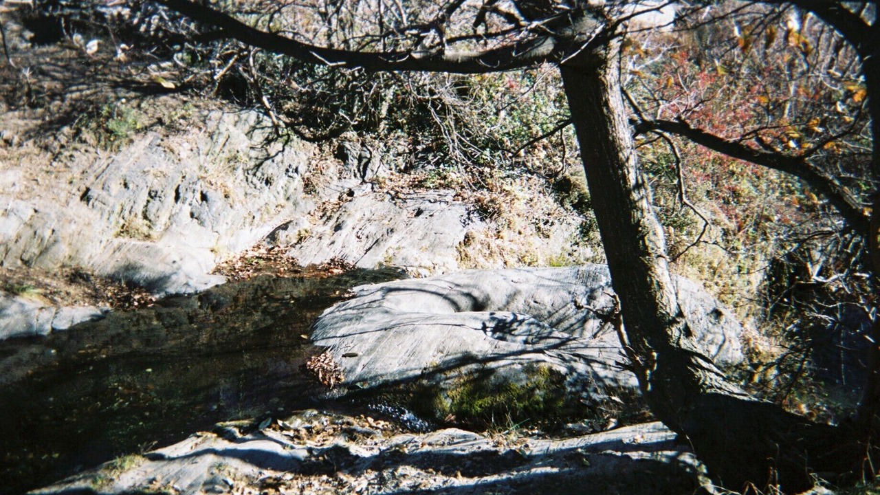 Photo of Others in Olette