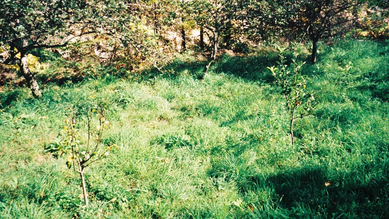 Photo of Others in Olette