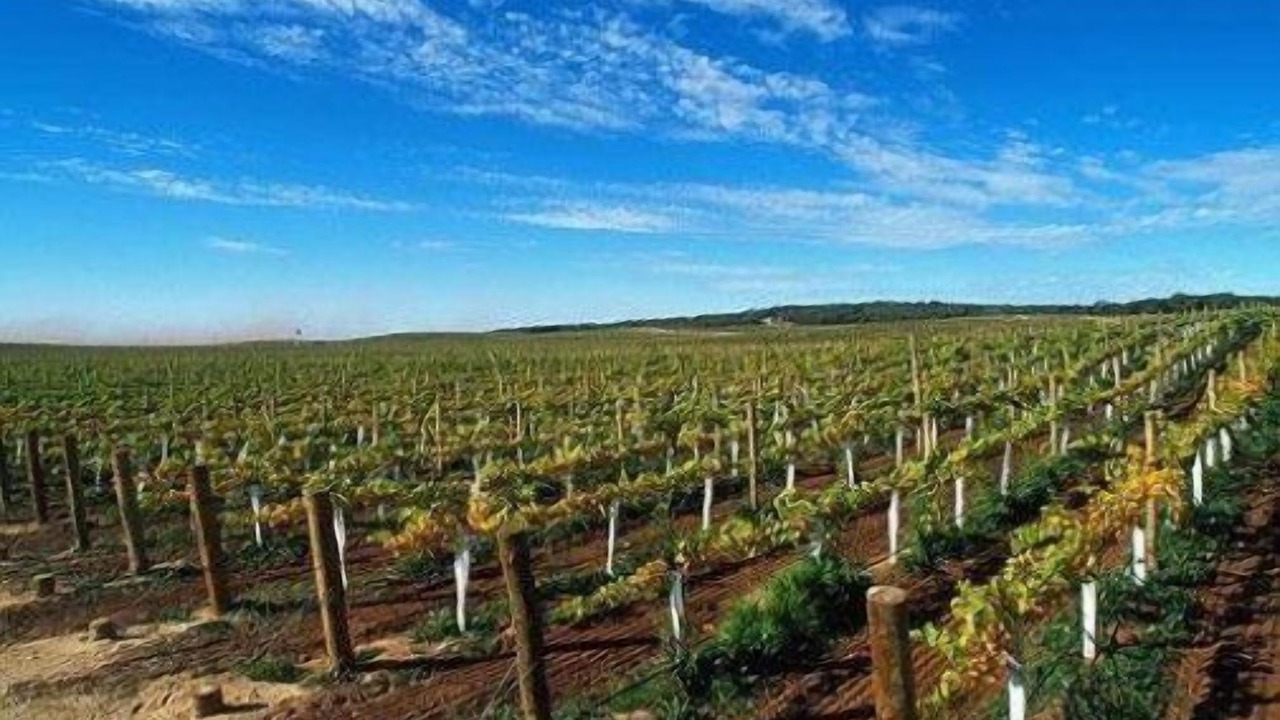 Photo of Others in Vilafranca del Penedes