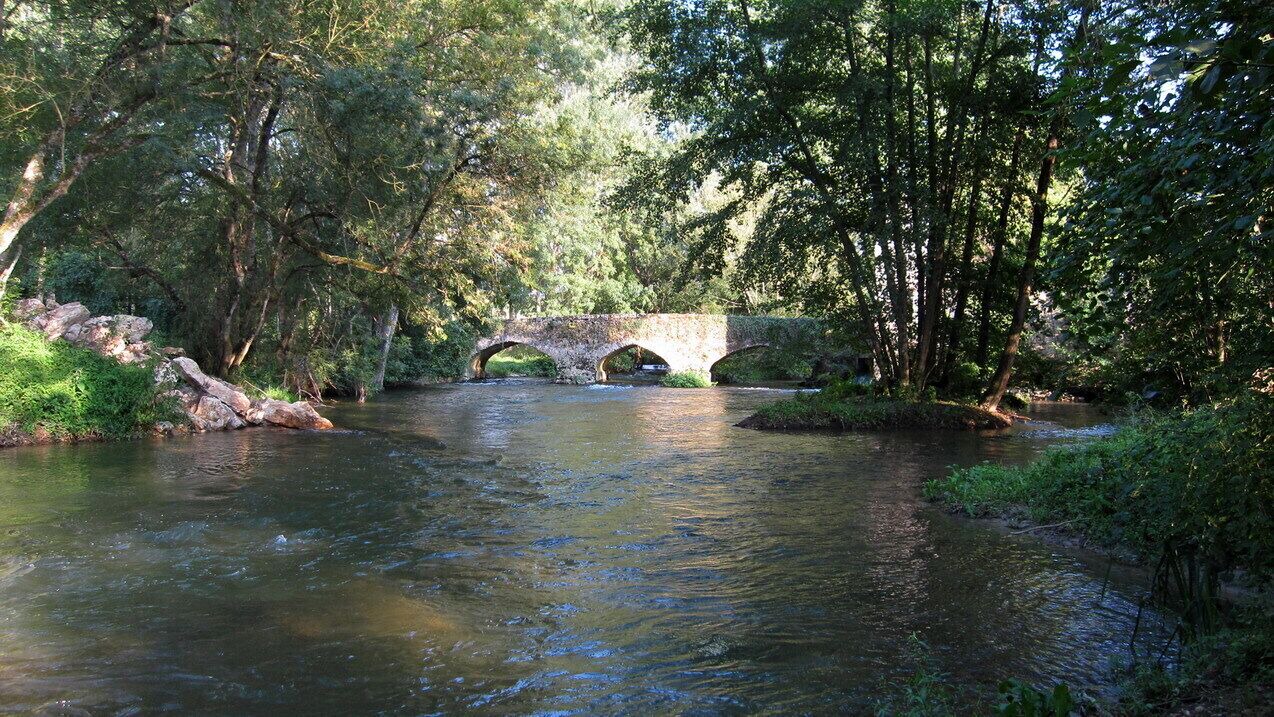 Photo of Outdoor in Chambourg-sur-Indre