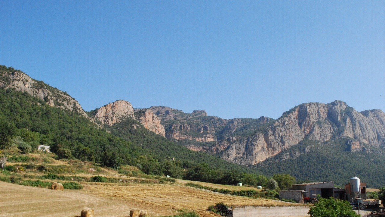 Photo of Outdoor in Trago