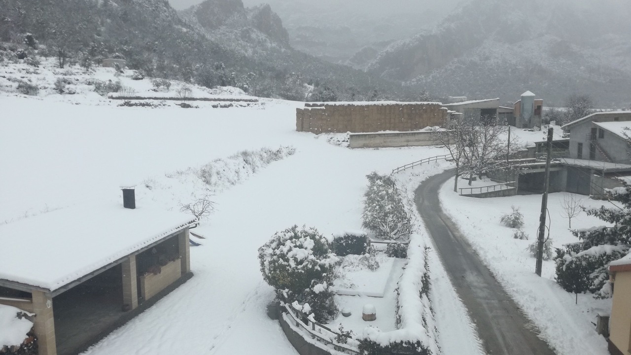 Photo of Outdoor in Trago