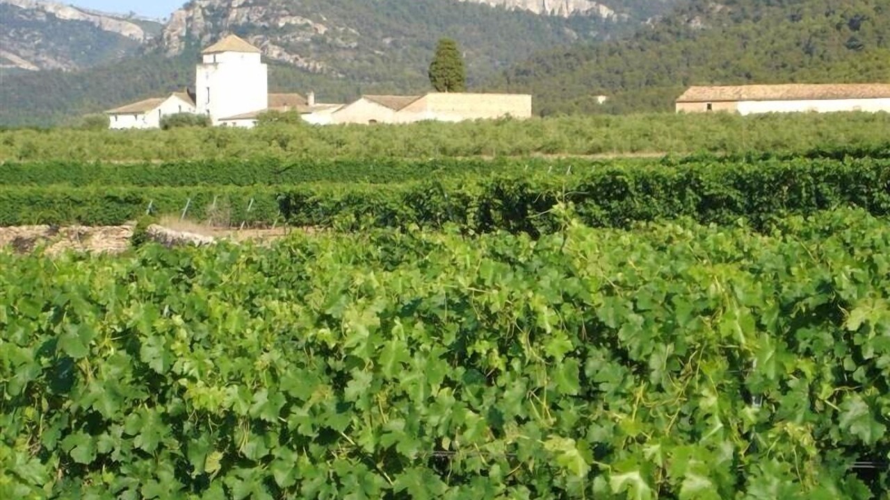 Photo of Others in Tivissa