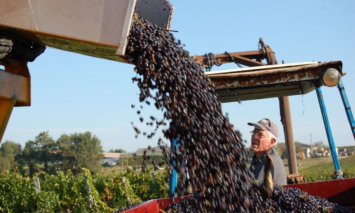 Photo of Others in Villefranche-de-Lonchat