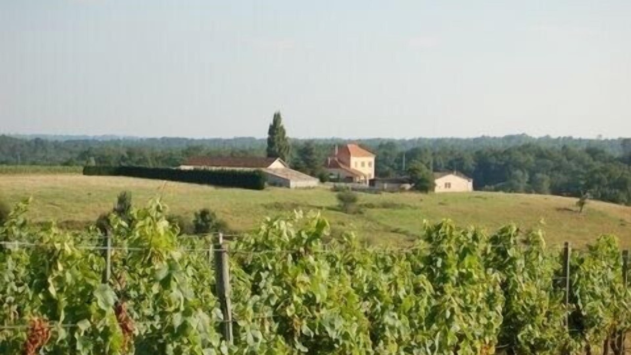 Photo of Others in Villefranche-de-Lonchat