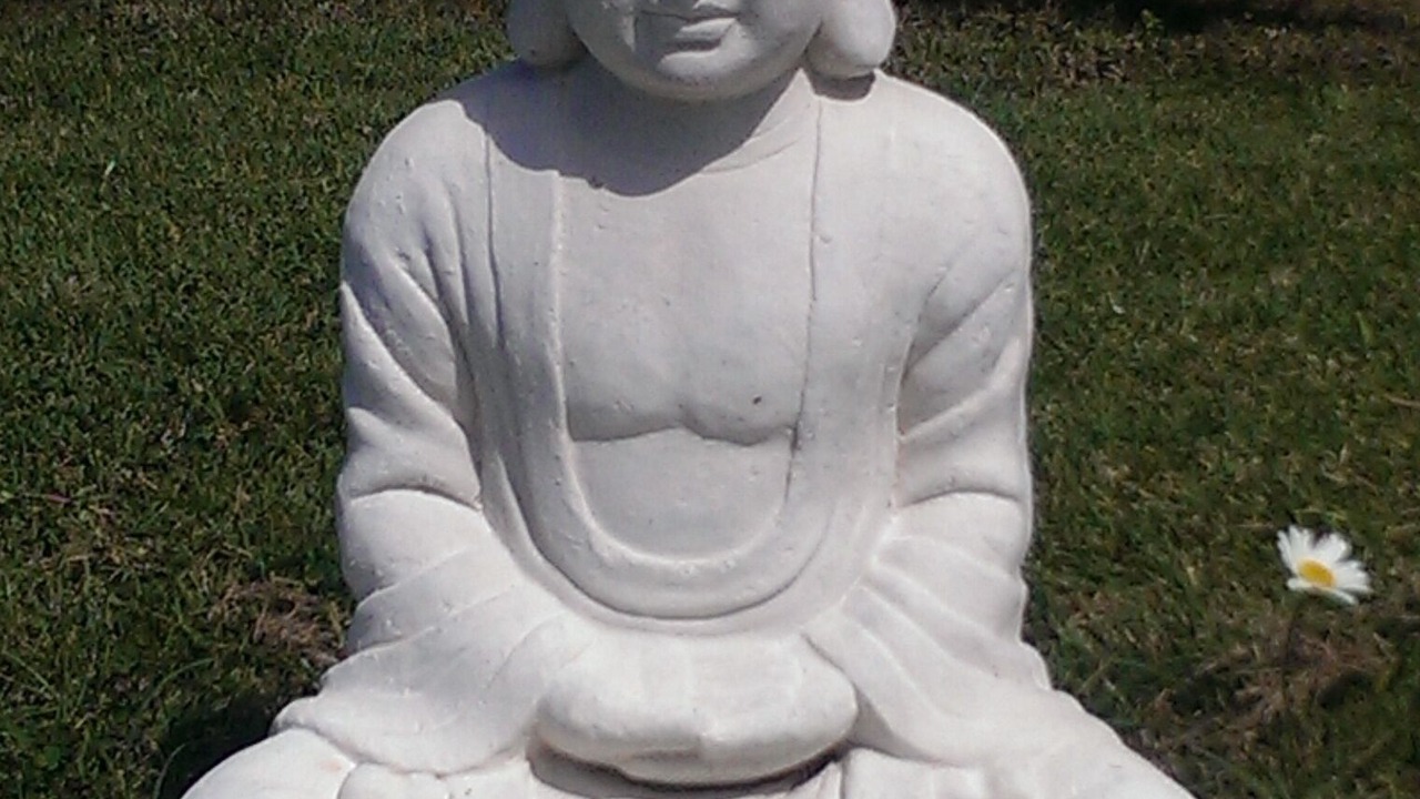 Photo of Others in Villefranche-de-Lonchat