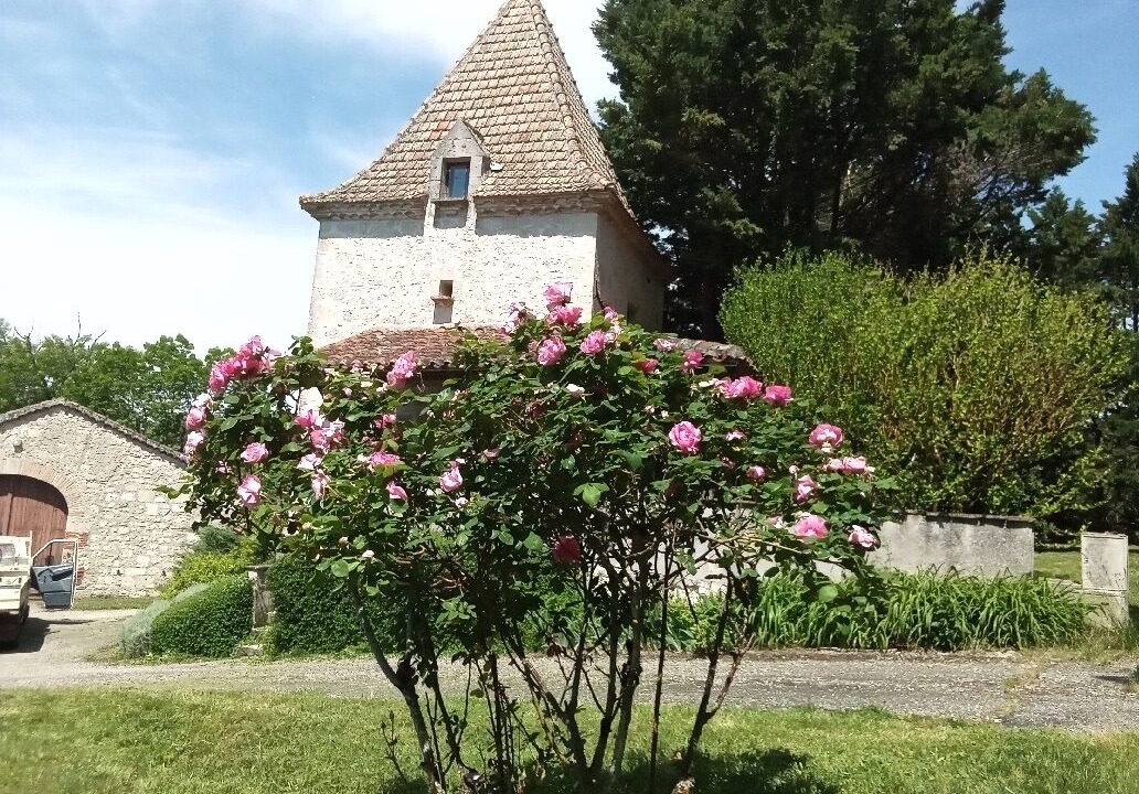 Photo of Outdoor in Monjoi