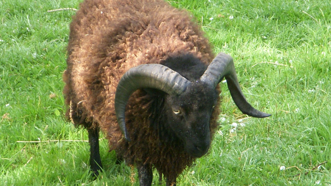 Photo of Others in Bures