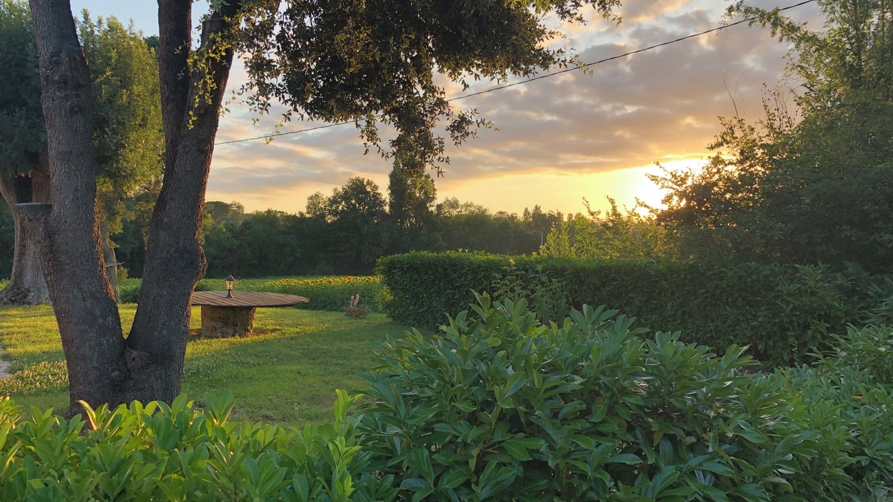 Photo of Outdoor in Saint-Puy