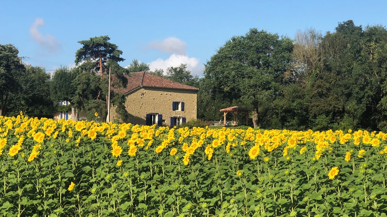 Photo of Outdoor in Saint-Puy