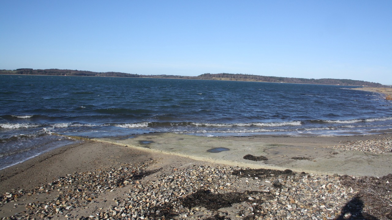 Photo of Others in Ronbjerg