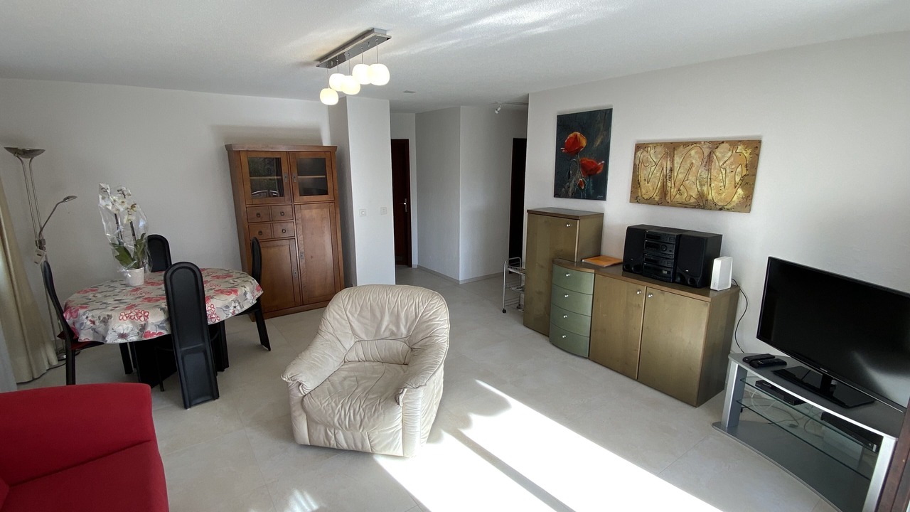 Photo of Livingroom in Minusio