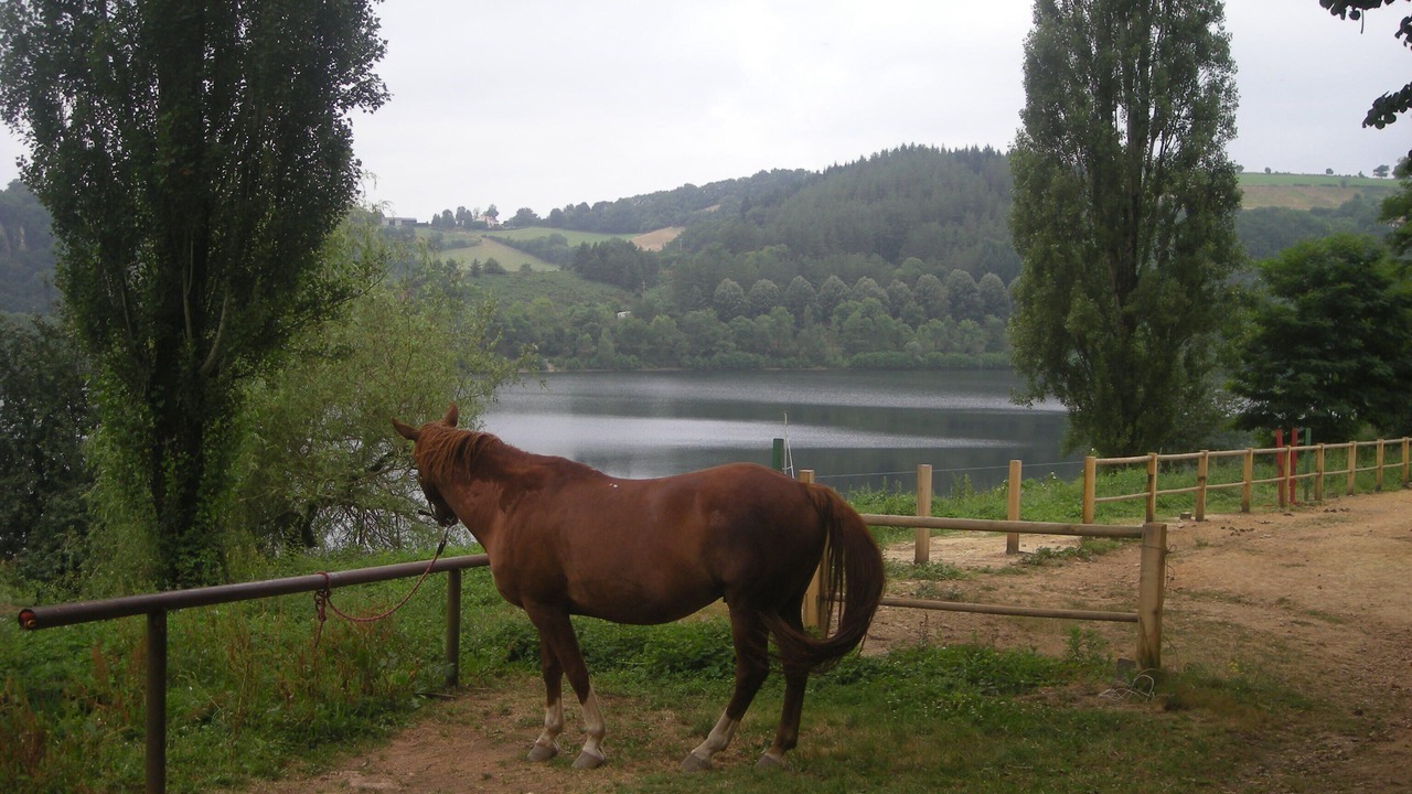 Photo of Outdoor in Mont-Roc
