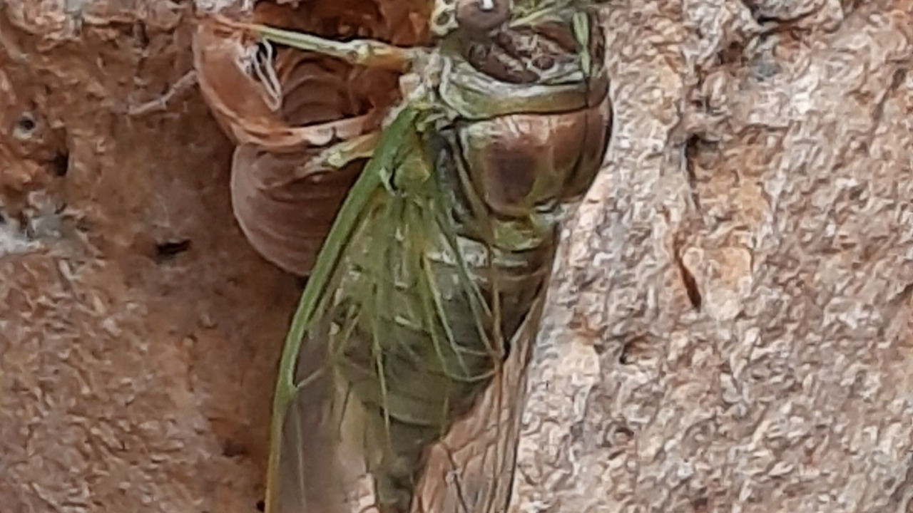 Photo of Outdoor in Puechabon