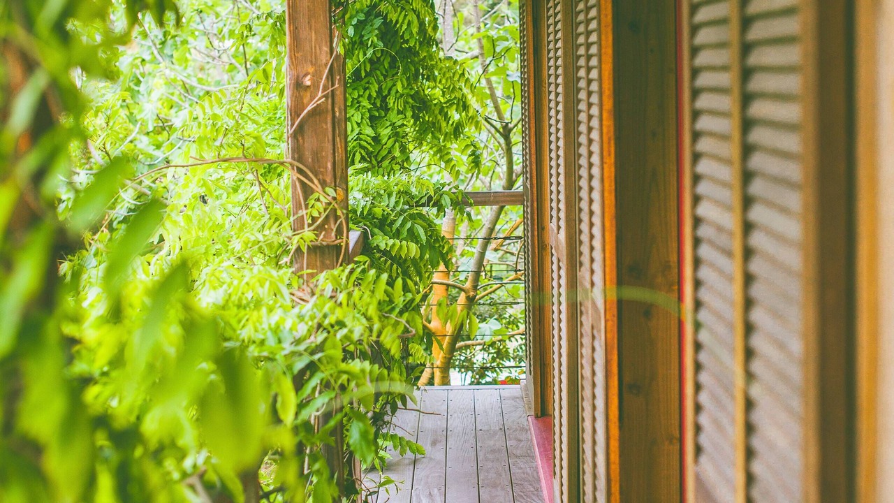 Photo of Outdoor in La Teste-de-Buch