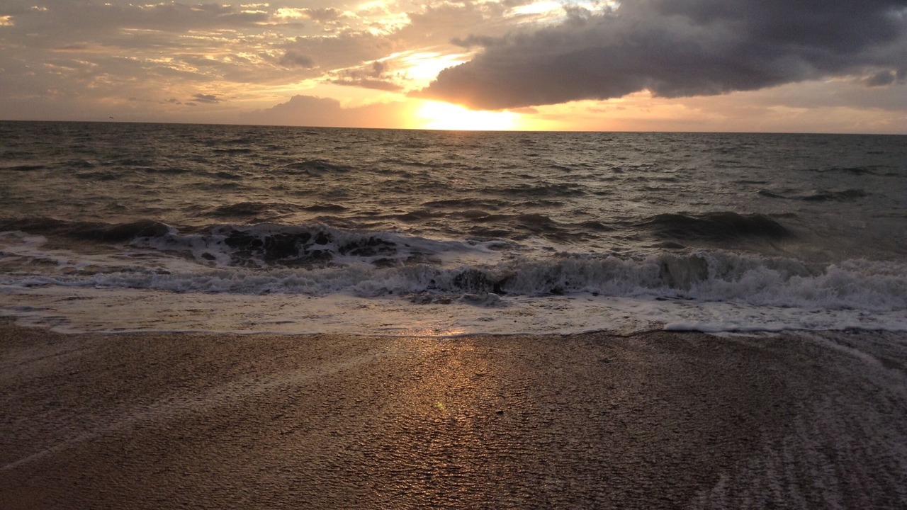 Photo of Others in Blainville-sur-Mer