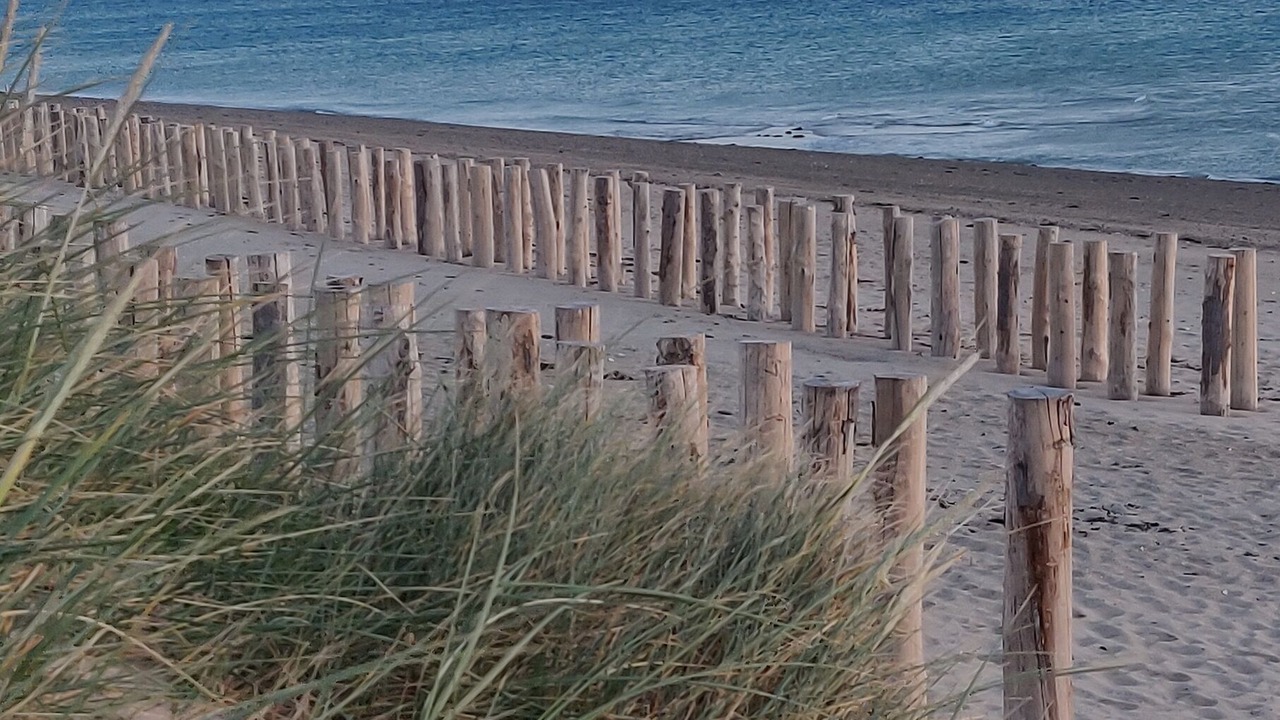 Photo of Others in Blainville-sur-Mer