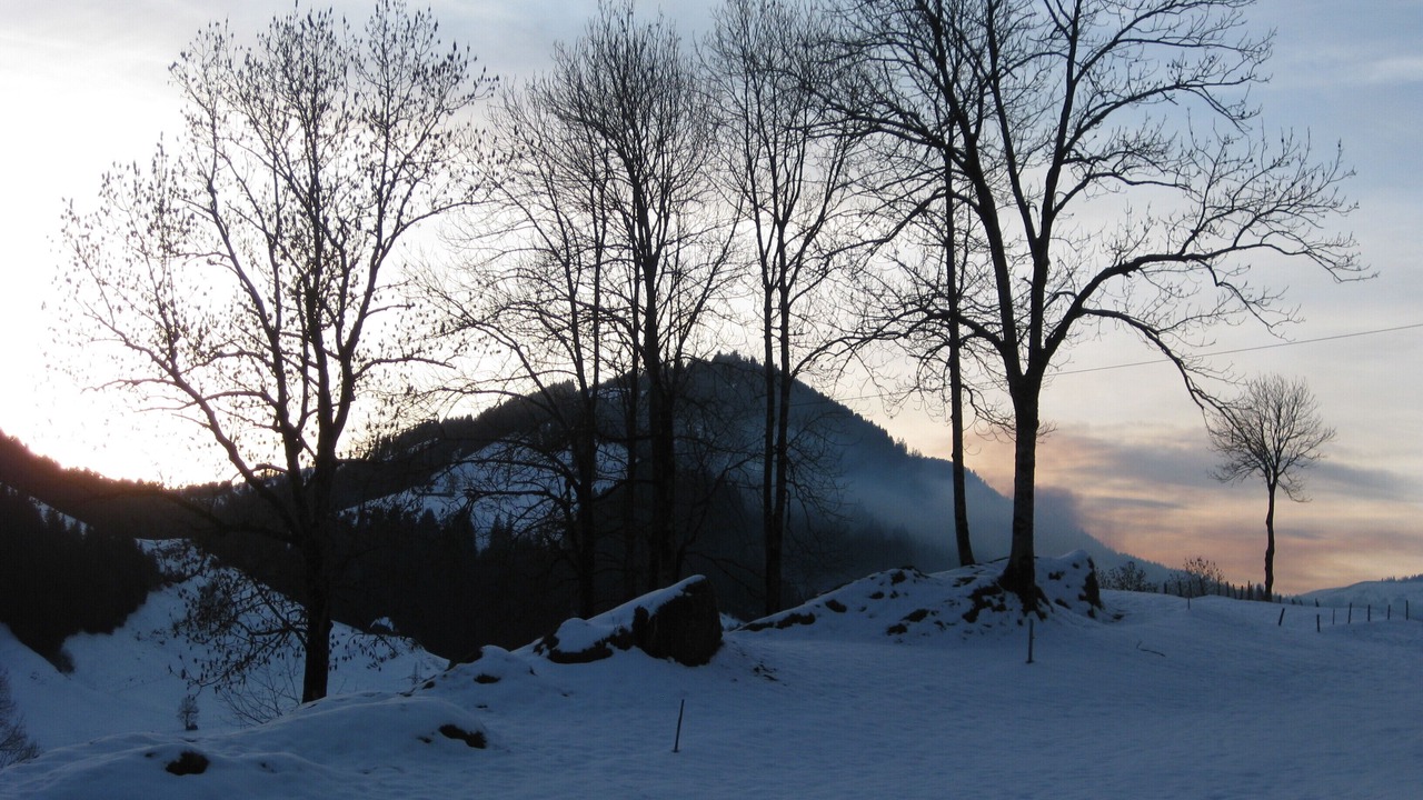 Photo of Others in Schangnau