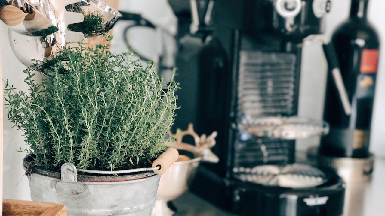 Photo of Others in Sankt Alban