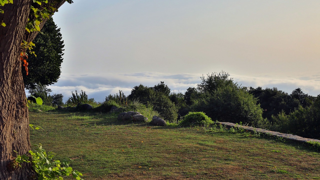 Photo of Outdoor in Ceret