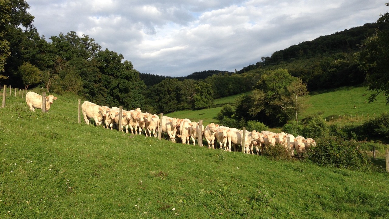 Photo of Outdoor in Cluny