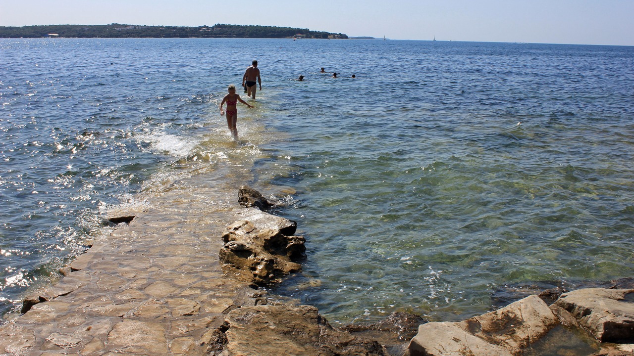 Photo of Others in Buzinija