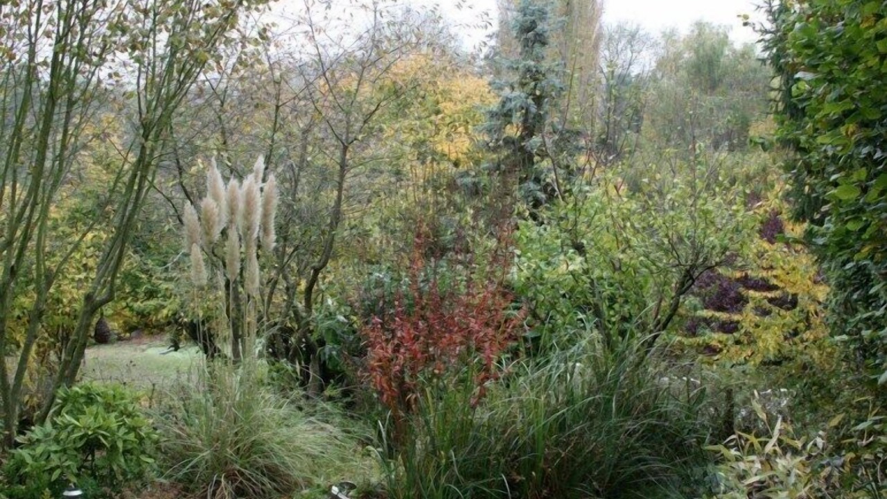 Photo of Outdoor in Monthodon