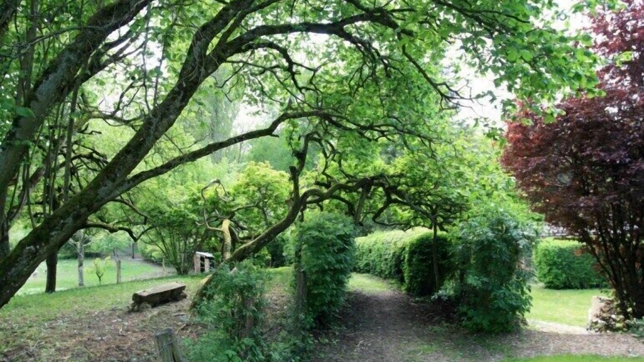 Photo of Outdoor in Monthodon