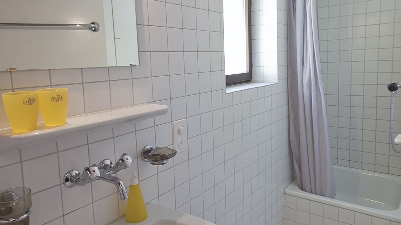Photo of Bathroom in Aurigeno