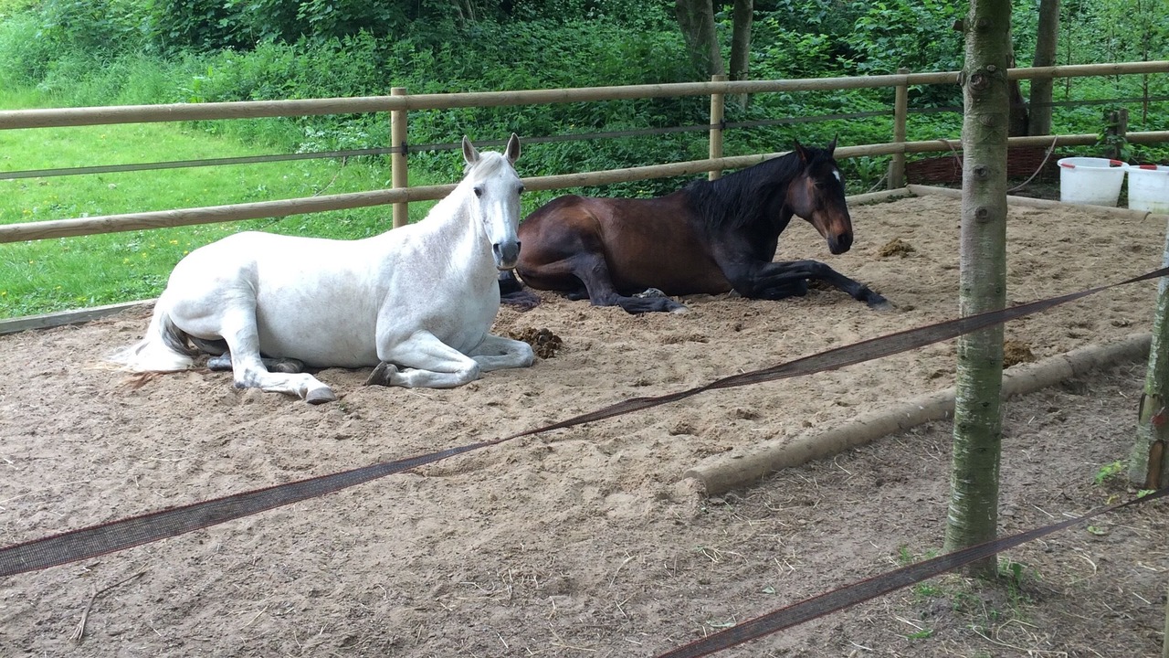 Photo of Outdoor in Vejen