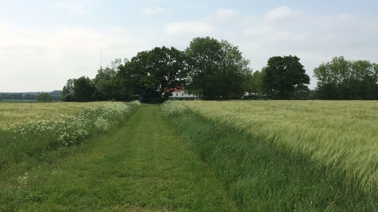 Photo of Others in Vejen