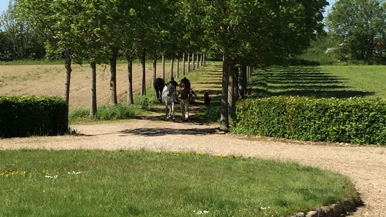 Photo of Outdoor in Vejen