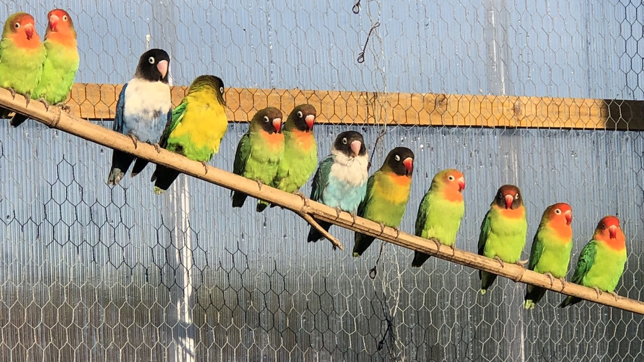Photo of Others in Montpont-en-Bresse
