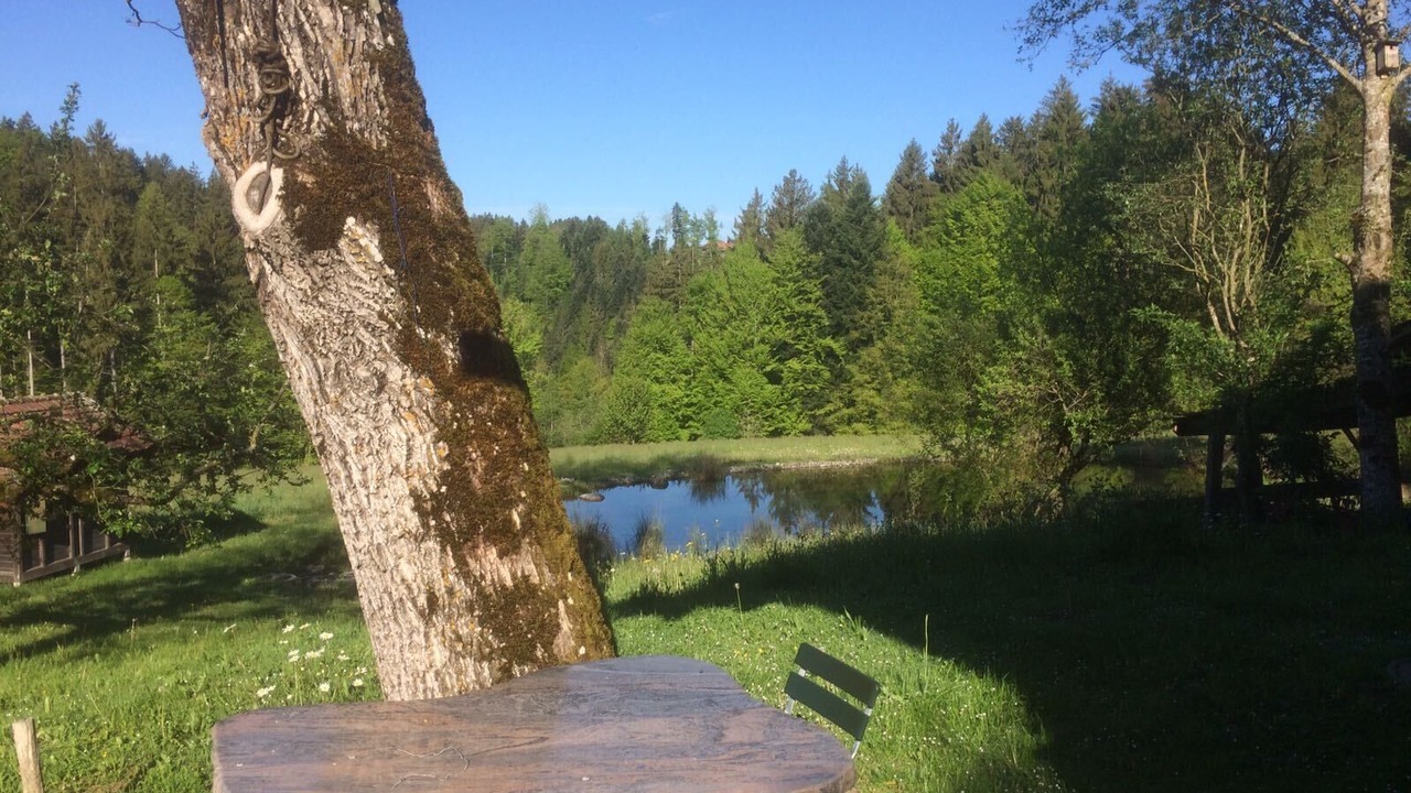 Photo of Outdoor in Rueggisberg