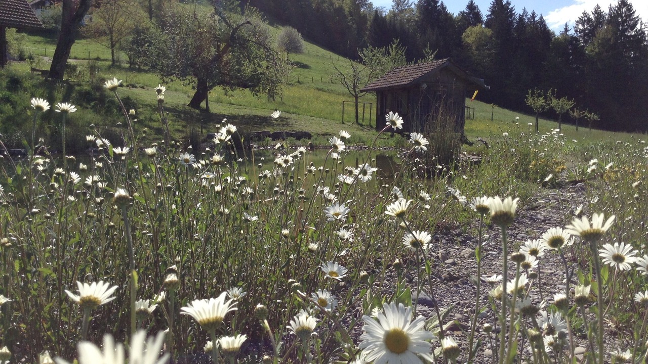 Photo of Outdoor in Rueggisberg