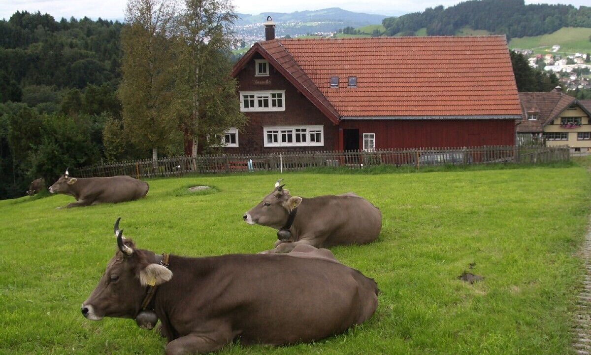 Photo of Outdoor in Rehetobel