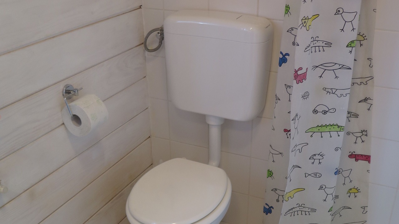 Photo of Bathroom in Benkovac Fuzinski