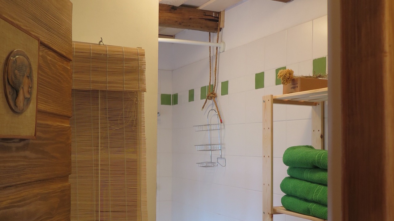 Photo of Bathroom in Benkovac Fuzinski