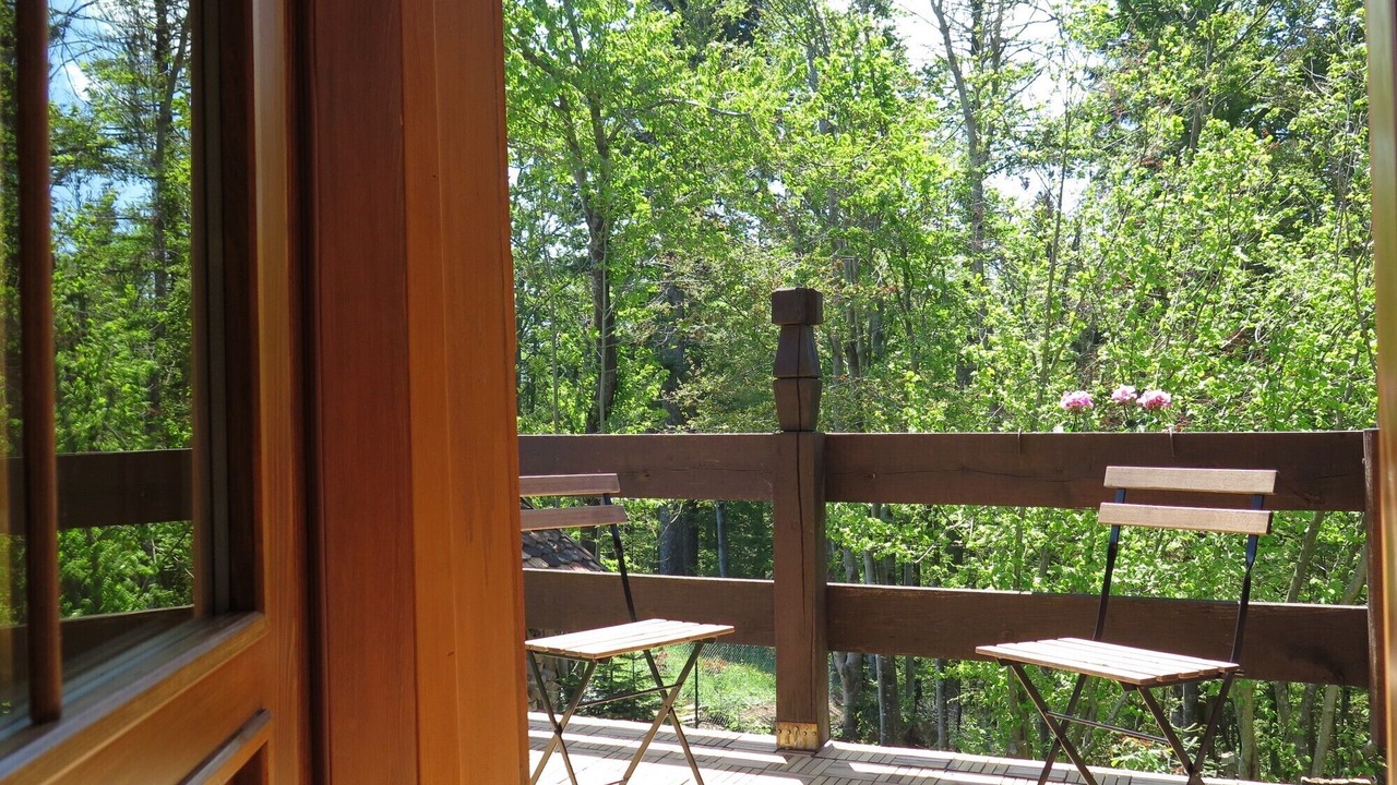 Photo of Patio Balcony in Benkovac Fuzinski