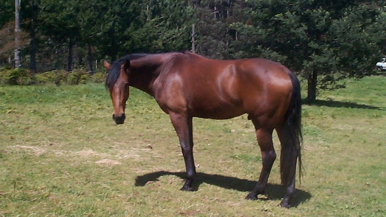 Photo of Others in Gembrook